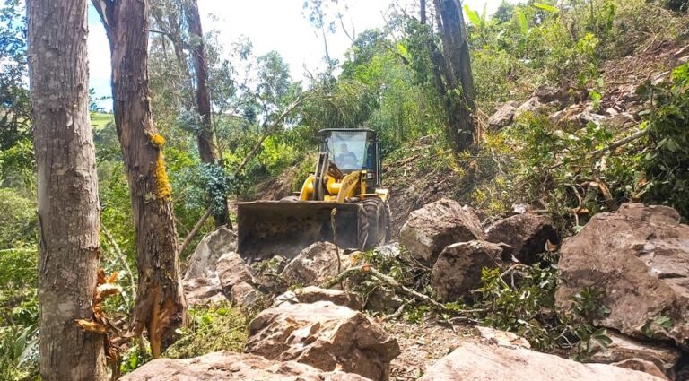 Huancabamba deslizamiento de tierra en el caserío Churimpa causa daños en cultivos, ganado y vías de comunicación