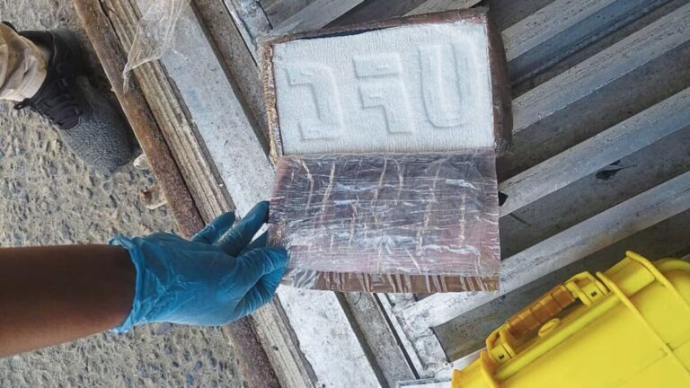 Incautan droga camuflada en contenedor del Puerto de Paita
