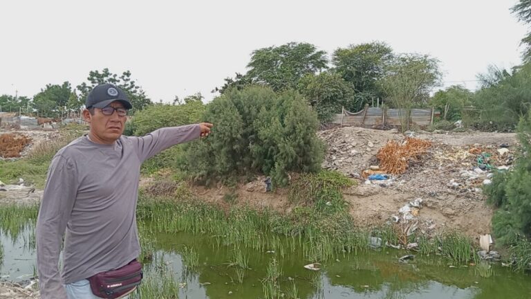 Piura: vecinos denuncian invasión del cauce del dren Sullana