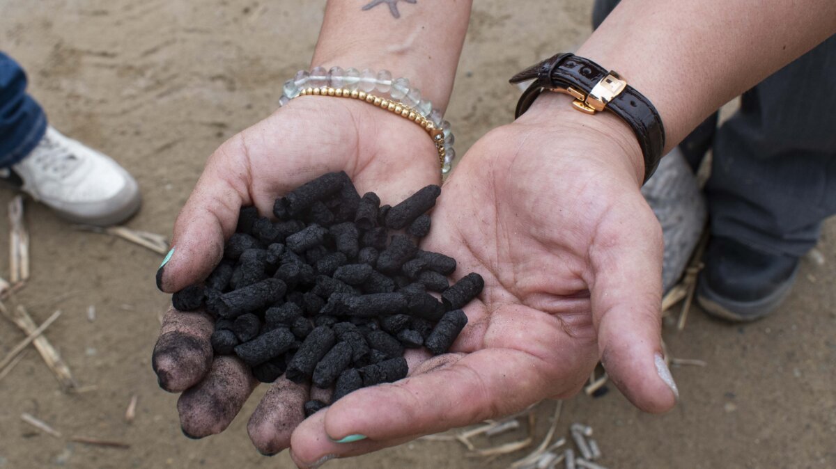 Inspiratus Technologies inaugura la primera planta industrial de biochar en Perú