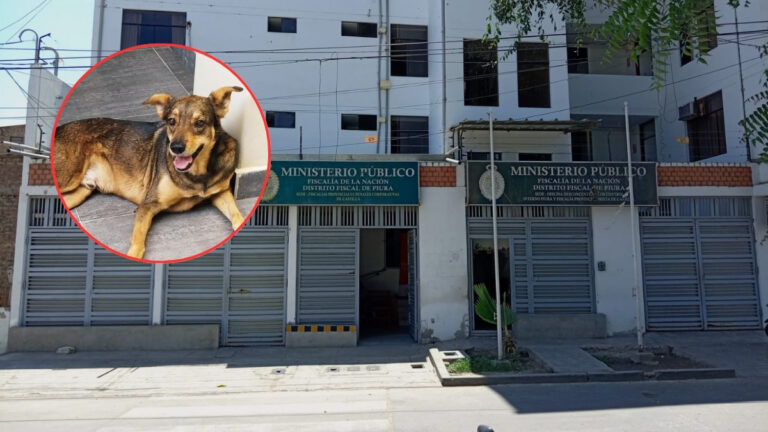 Fiscalía investiga presunto uso de perros sanos en prácticas de la UNP