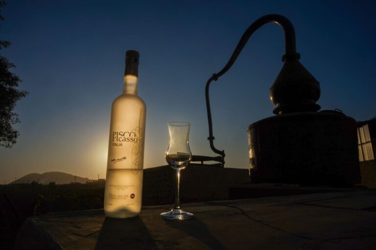 Perú postulará bodegas y viñedos del pisco como Patrimonio Mundial de la Unesco