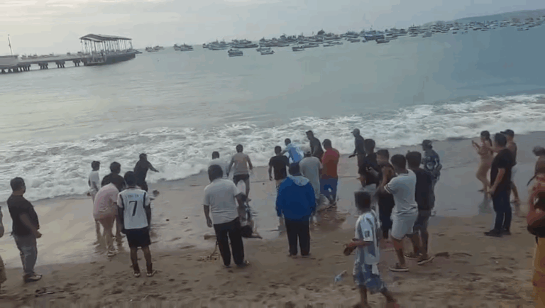 Tiburón juvenil varado en playa de Yacila causa asombro entre bañistas | VIDEO