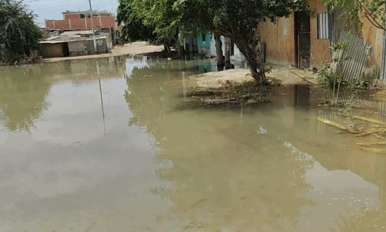 Familias del A.H. Señor de los Milagros enfrentan emergencia sanitaria por colapso de desagüe