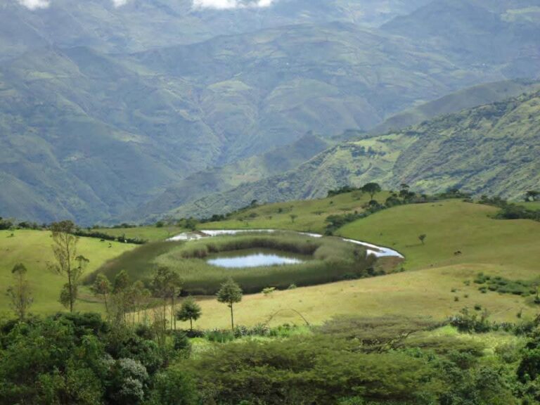Piura: Más de 400 agricultores se beneficiarán con nuevo canal de riego en Pacaipampa