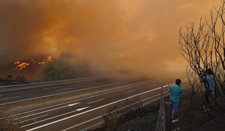 España enfrenta graves incendios forestales en medio de ola de calor