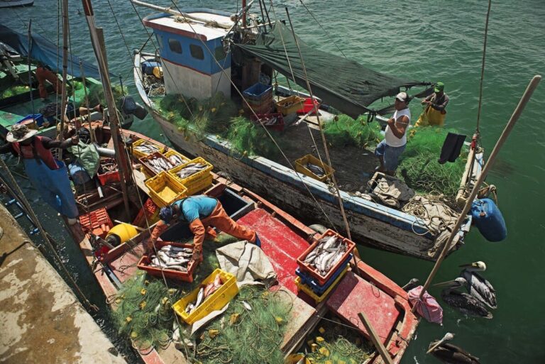 Perú aprueba nueva Política Nacional de Pesca con metas al 2040