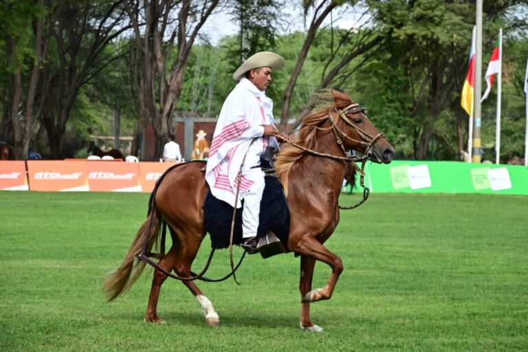 Piura celebra el XXXIII Concurso Regional del Caballo Peruano de Paso 2025