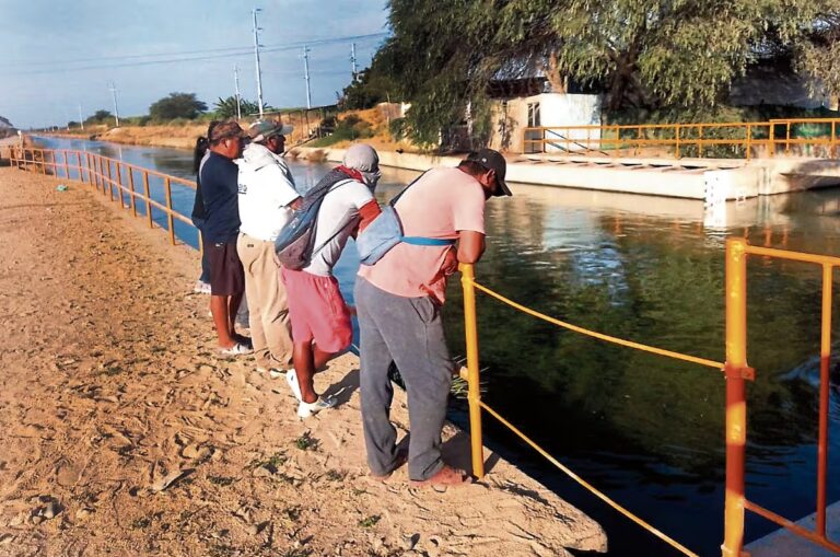 Joven desaparece tras caer en canal de regadío en Sullana