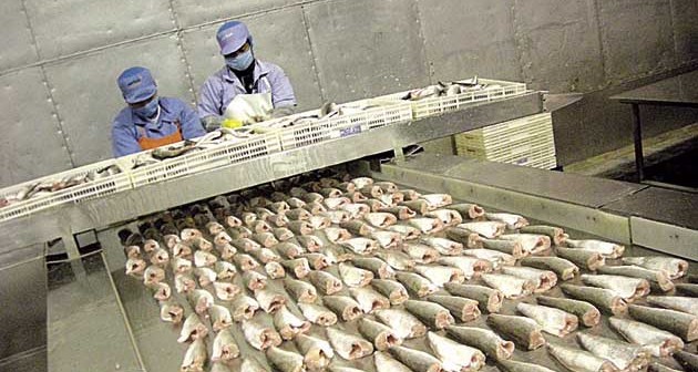 Informalidad laboral persiste en Piura a pesar del crecimiento de la manufactura
