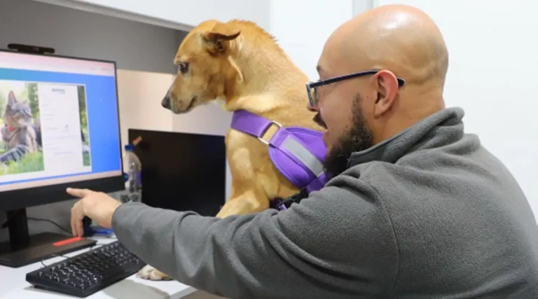Plataforma digital facilita Certificado Sanitario de Exportación para perros y gatos