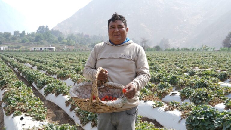 Emprendedores acceden a financiamiento inclusivo para actividades económicas sostenibles