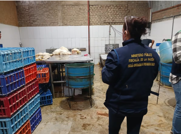 Clausuran avícolas en Sullana por insalubridad y falta de permisos