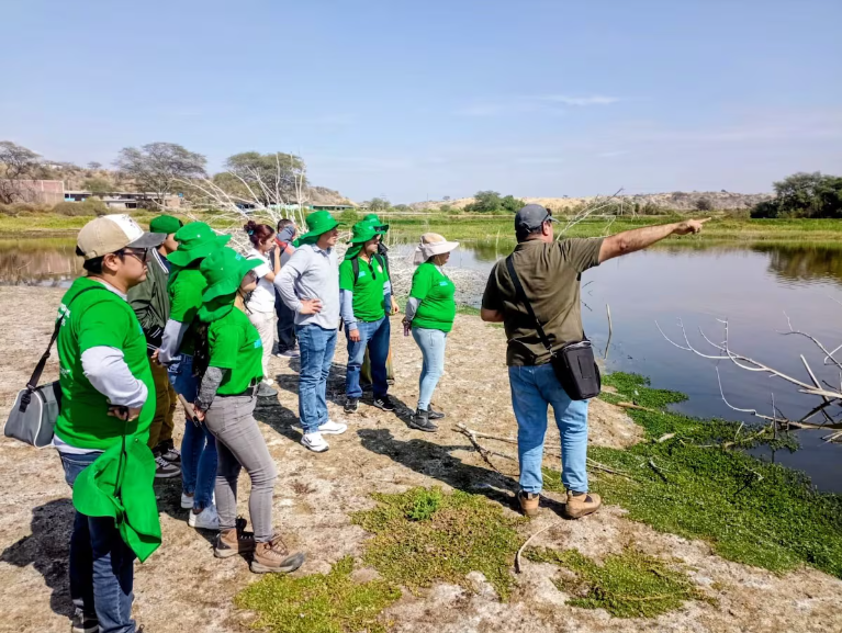 Más de 50 especies de aves fueron registradas en la Laguna de los Patos durante el October Big Day 2025