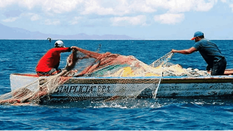 Aporte económico y desafíos de la pesca artesanal e industrial en Piura