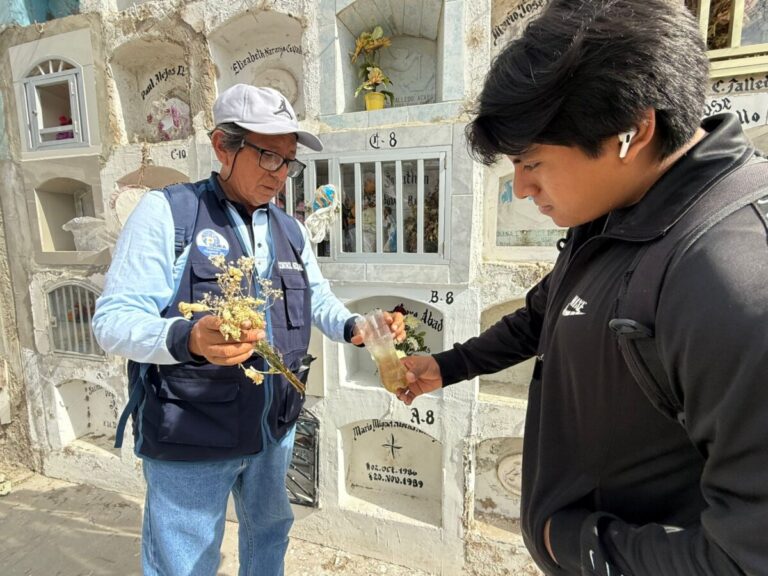 Más de 40 brigadistas eliminan criaderos del zancudo del dengue en camposantos de Piura Más de 40 brigadistas eliminan criaderos del zancudo del dengue en camposantos de Piura