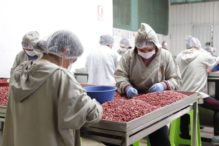 Enosa impulsa desarrollo económico a emprendedores a través de Usos Productivos