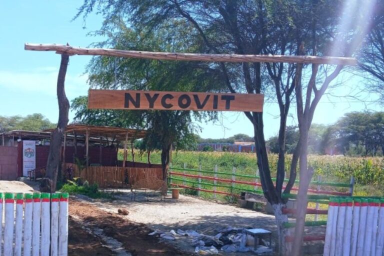 Delincuentes se llevan aves y ganado valorizado en 25 mil soles