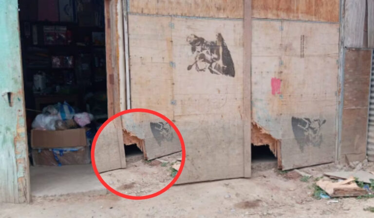 Delincuentes hacen un forado en una vivienda y sustraen equipos de trabajo Delincuentes hacen un forado en una vivienda y sustraen equipos de trabajo