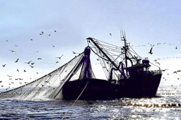 Produce autoriza segunda temporada de pesca de anchoveta 2025 con cuota provisional de 500 mil toneladas