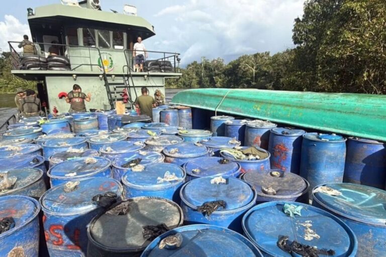 Gremios piden al Congreso frenar ampliación del REINFO y reforzar la formalización minera Gremios piden al Congreso frenar ampliación del REINFO y reforzar la formalización minera