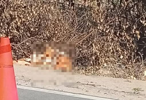 Hallan a joven sin vida en zona rural de Chulucanas