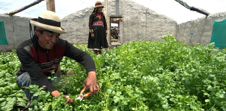 Piura será sede de Agromin: agricultura y minería buscan una agenda común para el 2026