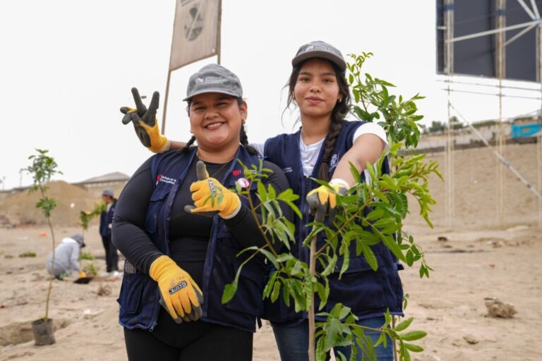 UCV alcanza el puesto 3 en sostenibilidad ambiental y destaca a nivel nacional, según reporte del Minam