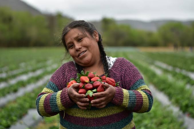 Cultivida impulsa integración Perú–Ecuador en el I Congreso Binacional Frutícola Sullana 2026