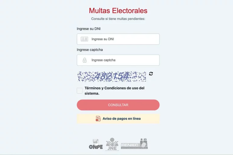 ¿No votaste? Así puedes verificar y pagar tu multa electoral online