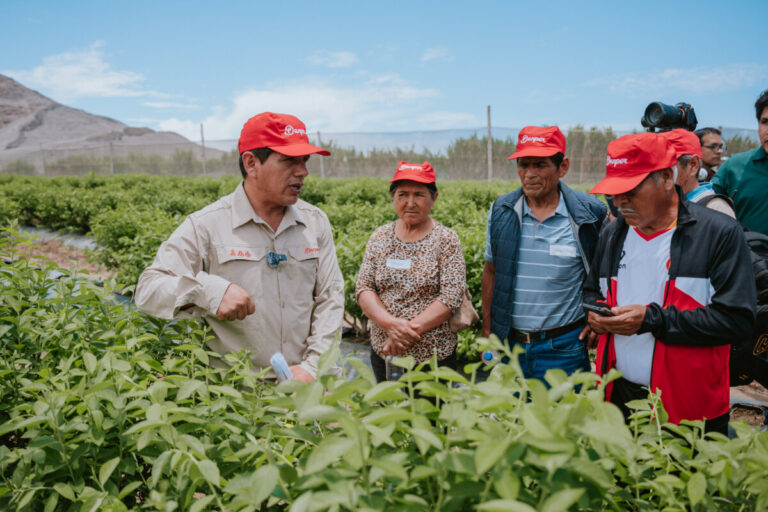 Danper, Sunafil y Senasa impulsan capacitación para fortalecer la competitividad y sostenibilidad del agro en La Libertad