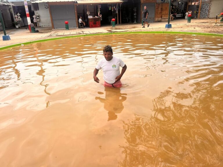 Contraloría advierte riesgo de dengue y leptospirosis tras lluvias en Talara y Piura
