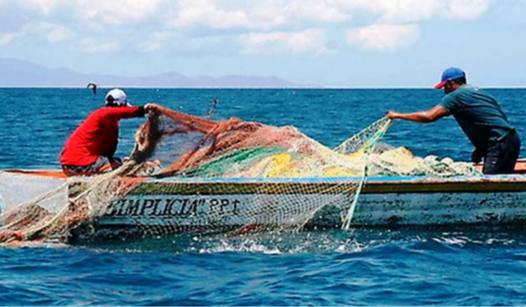 Economía de Piura crece 4,7% en 2025: pesca lidera expansión y persisten retos estructurales El sector pesca destacó como el principal motor del crecimiento, con una expansión superior al 23%.