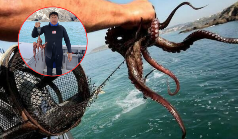 El certamen incentivó la captura exclusiva de ejemplares de pulpo con un peso superior a un kilogramo, en línea con la normativa vigente.