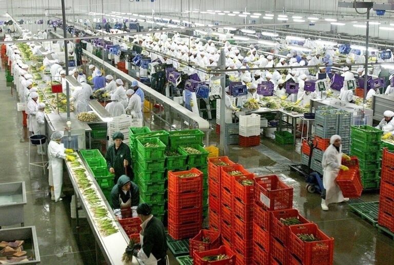 Piura registró envíos por US$ 4,161 millones en 2025