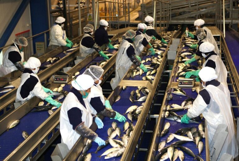 Piura crece más de 4%: ¿cuáles son los sectores que pueden generar mayor empleo? la economía regional mantuvo un desempeño positivo a lo largo del año y cerró 2025 con un crecimiento de 4,7 %,