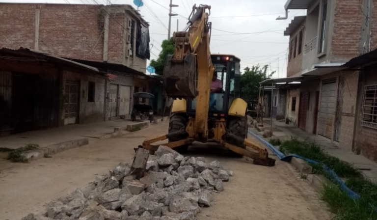 Este tipo de intervenciones se replicará de manera progresiva en otras zonas de la localidad.