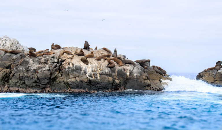 En esta Semana Santa, mientras muchos miran hacia los lugares de siempre, el norte propone una alternativa silenciosa pero contundente.