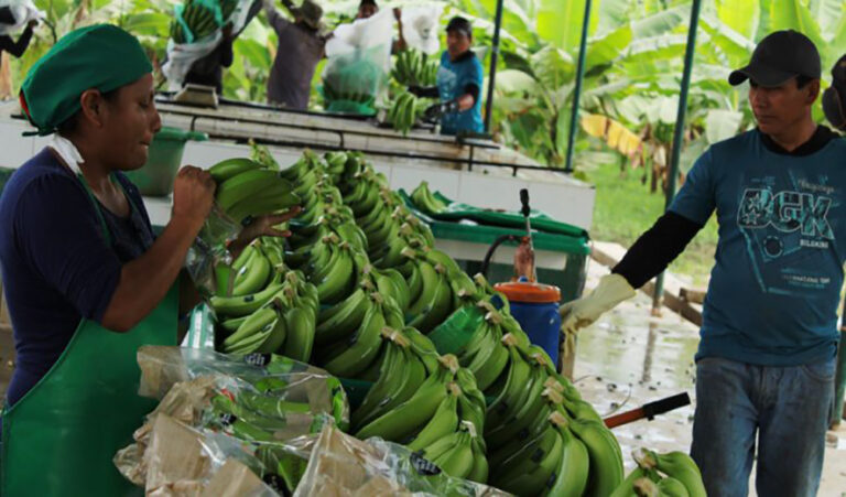 Inversión privada y crecimiento económico impulsan reducción de la pobreza en Piura y el país Inversión privada y crecimiento económico impulsan reducción de la pobreza en Piura y el país