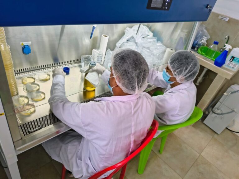 Fortalecen producción de banano orgánico con módulo de propagación de microorganismos benéficos en el Chira Fortalecen producción de banano orgánico con módulo de propagación de microorganismos benéficos en el Chira