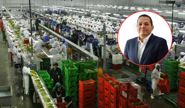 Zacnich señaló que una variación de esta magnitud podría afectar especialmente a las micro, pequeñas y medianas empresas agroexportadoras.