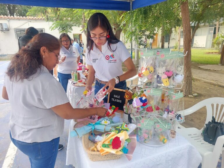 Brindan asistencia técnica a más de 290 emprendedores de Piura para fortalecer sus negocios Brindan asistencia técnica a más de 290 emprendedores de Piura para fortalecer sus negocios
