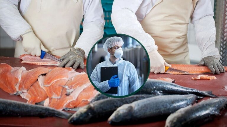 Piura: Curso especializado fortalecerá la prevención del fraude alimentario en empresas del sector pesquero y acuícola