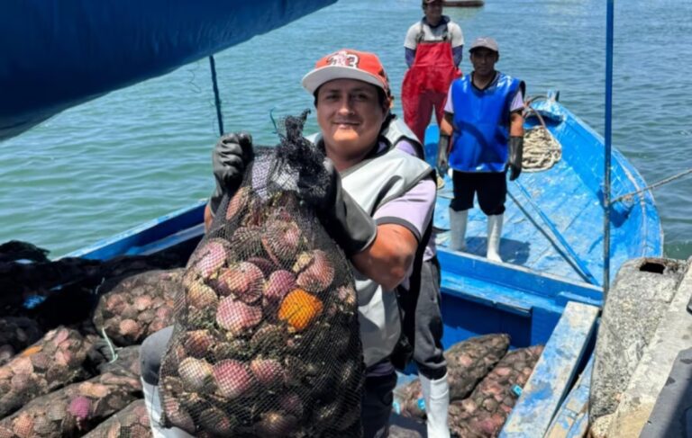 Maricultores alertan que un desborde del río Piura pondría en riesgo la producción de concha de abanico en Sechura Maricultores alertan que un desborde del río Piura pondría en riesgo la producción de concha de abanico en Sechura