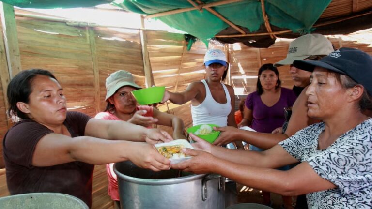 Inseguridad alimentaria afecta a 1 de cada 3 hogares piuranos, afirma el INEI En los casos más extremos, el 11.2 % de los hogares piuranos reportó haberse quedado sin alimentos o haber pasado un día completo sin comer.