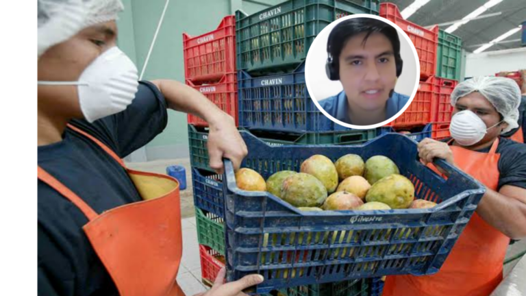 César García, economista de la Red de Estudios para el Desarrollo (REDES), señaló que la combinación de un Niño Costero y un Niño Global podría impactar la agroexportación, la pesca y el costo de la canasta básica en los próximos meses.