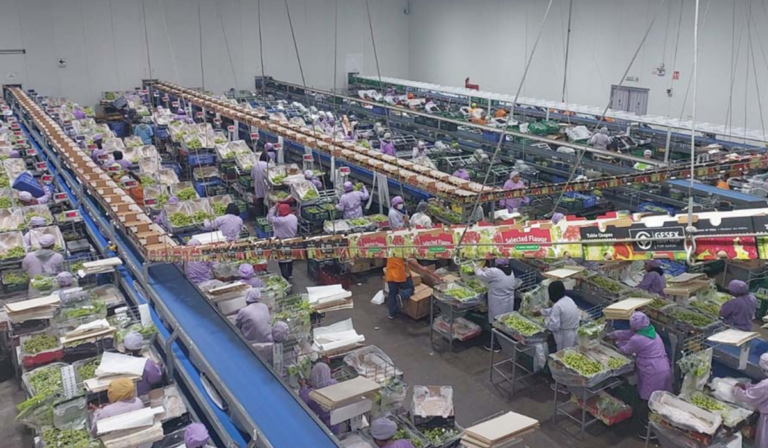 Fenómeno El Niño amenaza la recuperación económica de Piura, advierte el IPE El informe del IPE señala que, pese a la recuperación económica, Piura mantiene desafíos estructurales. Foto: Diario Grupo Panorama.
