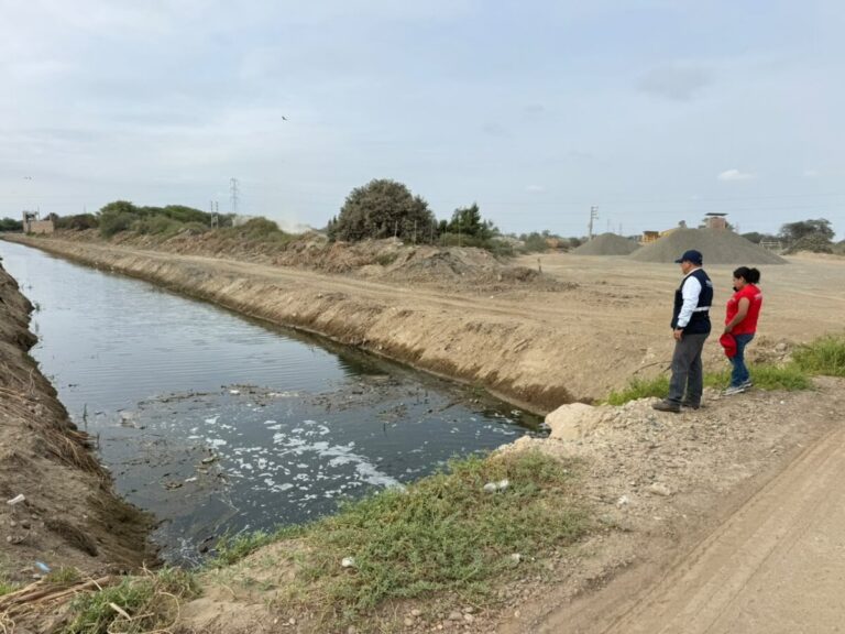 Limpian drenes de Catacaos y detectan estructuras que podrían afectar su operatividad Limpian drenes de Catacaos y detectan estructuras que podrían afectar su operatividad