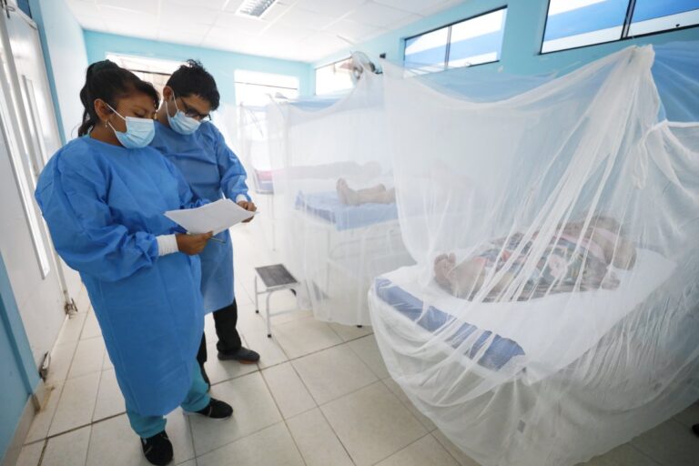 Especialista pide declarar alerta epidemiológica por dengue ante aumento de casos y fallecimientos en Piura La región Piura registra 13 defunciones: 8 confirmadas y 5 en investigación.