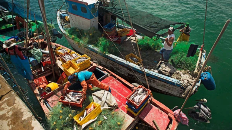 Pescadores de Lobitos exigen bonos y créditos blandos ante grave crisis en el sector
